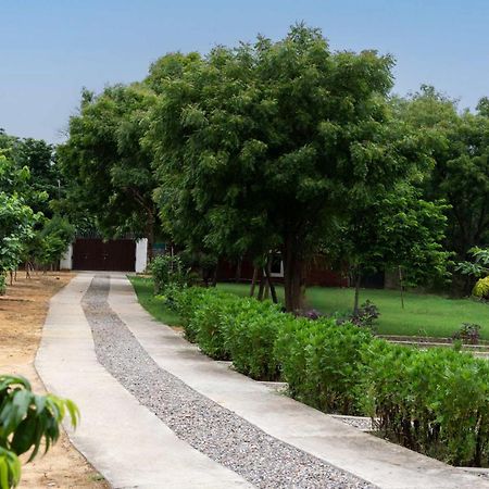 Stayvista At Idyllic Farmhouse - A Glasshouse With Outdoor Pool Gurgaon Eksteriør billede