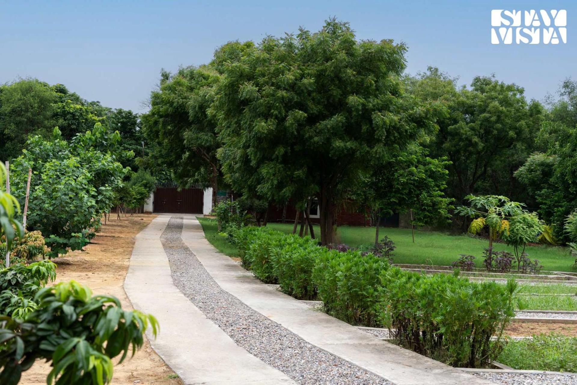 Stayvista At Idyllic Farmhouse - A Glasshouse With Outdoor Pool Gurgaon Eksteriør billede
